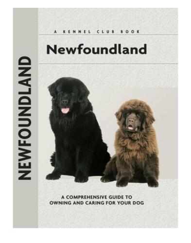 Newfoundland