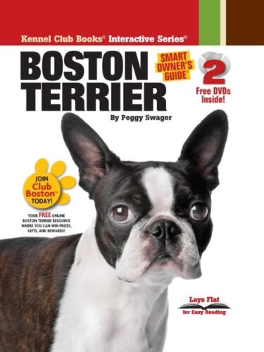 Boston Terrier