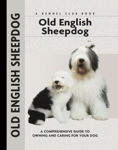 Old English Sheepdog