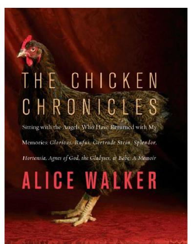 The Chicken Chronicles