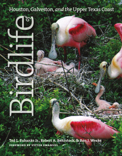 Birdlife of Houston, Galveston, and the Upper Texas Coast
