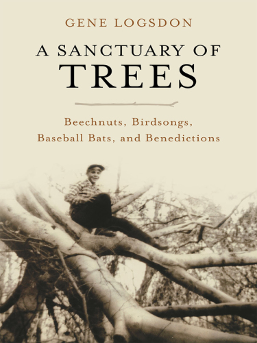 A Sanctuary of Trees: Beechnuts, Birdsongs, Baseball Bats, and Benedictions