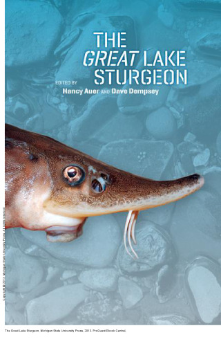 The Great Lake Sturgeon