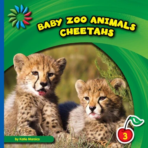 Cheetahs