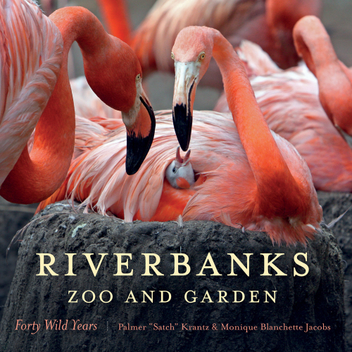 Riverbanks Zoo and Garden : Forty Wild Years