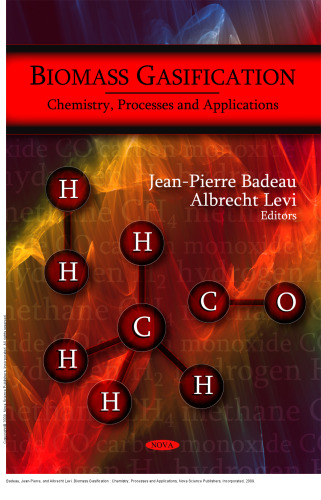 Biomass Gasification : Chemistry, Processes and Applications