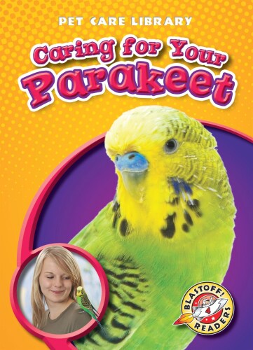 Caring for Your Parakeet