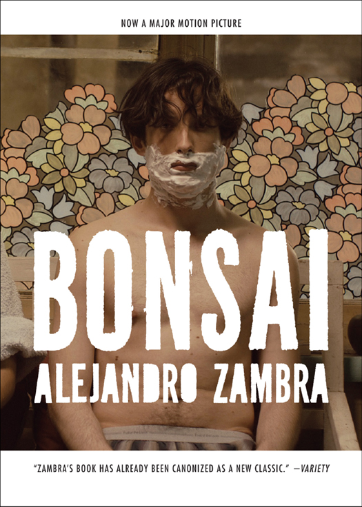 Bonsái