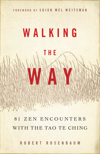 Walking the Way: 81 Zen Encounters with the Tao Te Ching