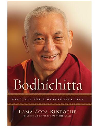 Bodhichitta. Practice for a meaningful life