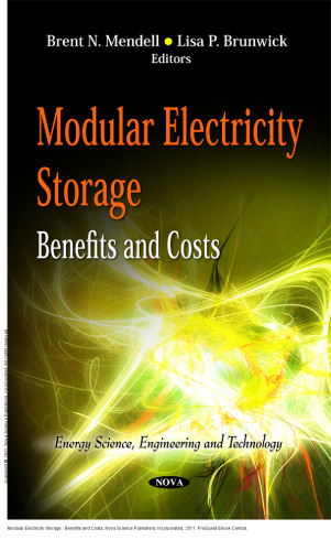 Modular Electricity Storage : Benefits and Costs