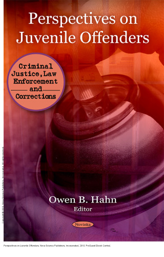 Perspectives on Juvenile Offenders