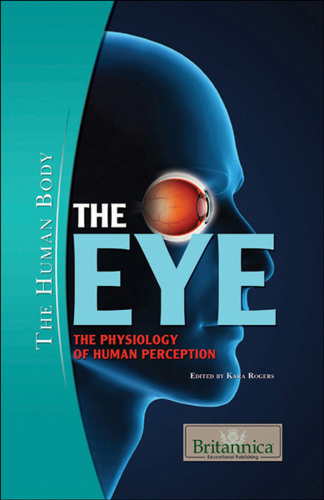 The Eye. The Physiology of Human Perception