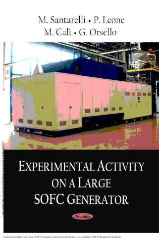 Experimental Activity on a Large SOFC Generator