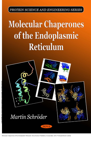 Molecular Chaperones of the Endoplasmic Reticulum