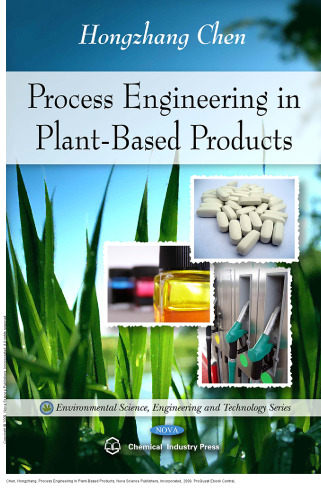 Process Engineering in Plant-Based Products