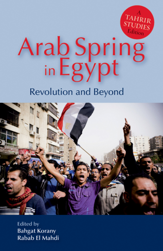 Arab Spring in Egypt : Revolution and Beyond