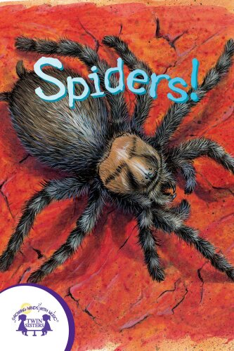 Spiders