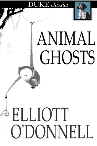 Animal Ghosts: Animal Hauntings and the Hereafter
