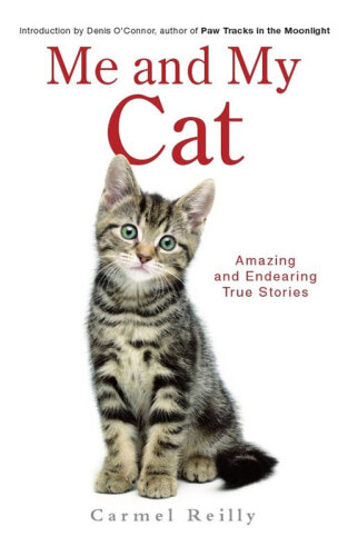 Me and My Cat: Amazing and Endearing True Stories