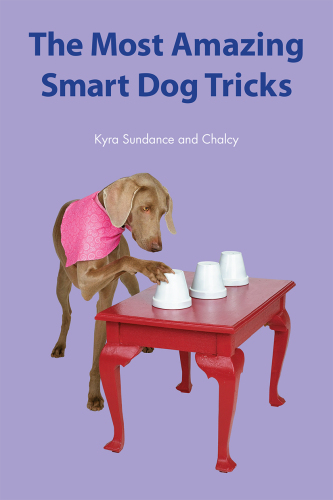 The Most Amazing Silly Dog Tricks