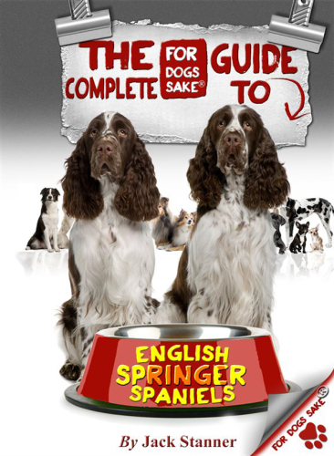 The Complete Guide to English Springer Spaniel
