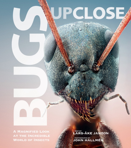 Bugs Up Close