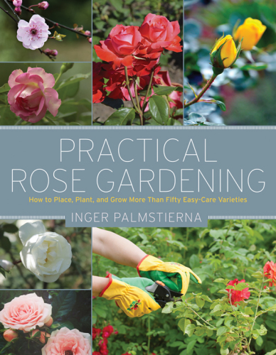 Successful rose gardening