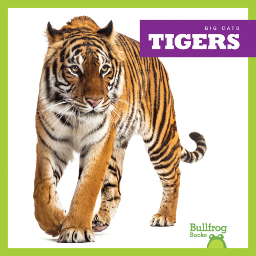 Tigers