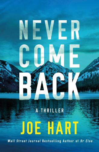 Never Come Back: A Thriller (Nora McTavish)