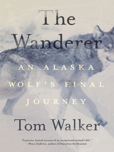 The Wanderer: An Alaska Wolf's Final Journey