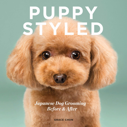 Puppy styled: Japanese dog grooming: before & after