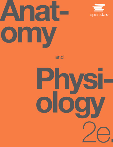 Anatomy Physiology 2e