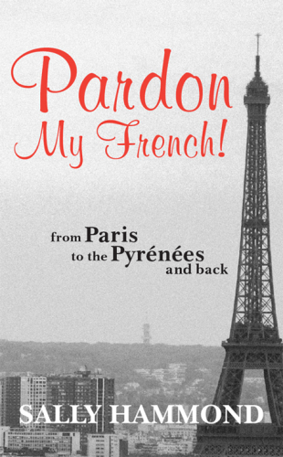 Pardon my French: from the north to the south of France