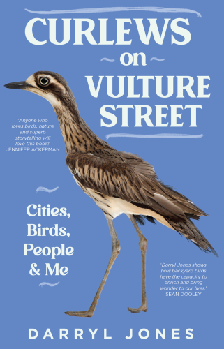 Curlews on Vulture Street: Cities, Birds, People and Me