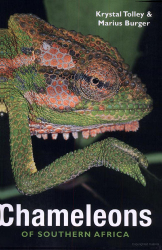 Chameleons of Southern Africa