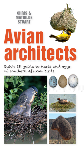 Quick ID Guide – Avian Architects