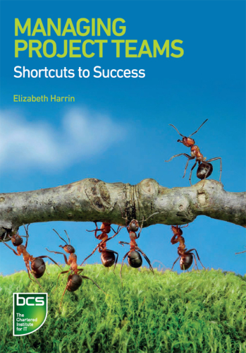 Managing Project Teams: Shortcuts to success
