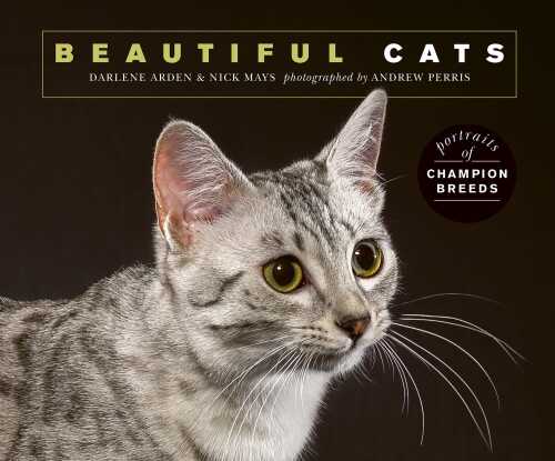Beautiful Cats: Portraits of champion breeds