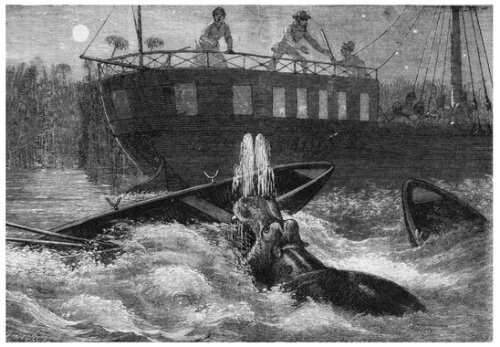 The ADVENTURES OF SIR SAMUEL WHITE BAKER : Victorian Hero