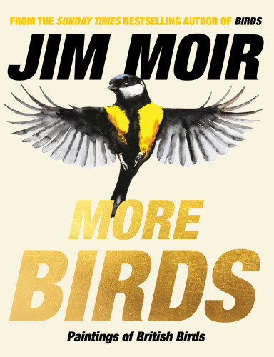 More Birds