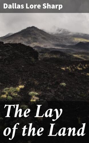 The Lay of the Land