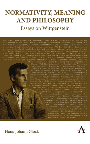 Normativity, Meaning and Philosophy: Essays on Wittgenstein