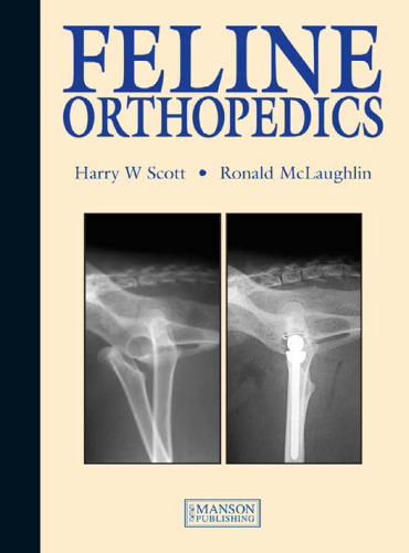 Feline orthopedics