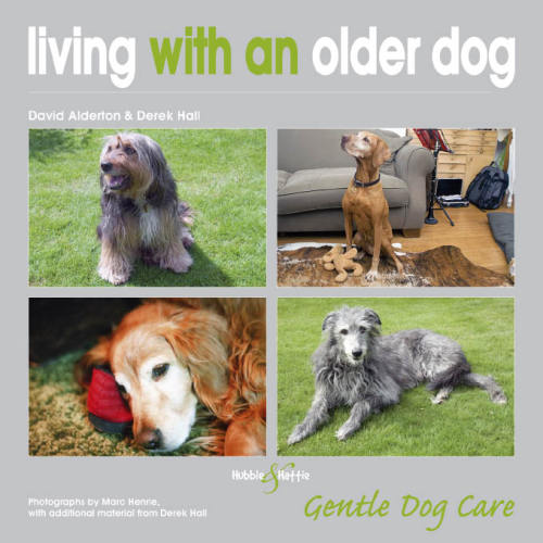 Living with an older dog: gentle dog care