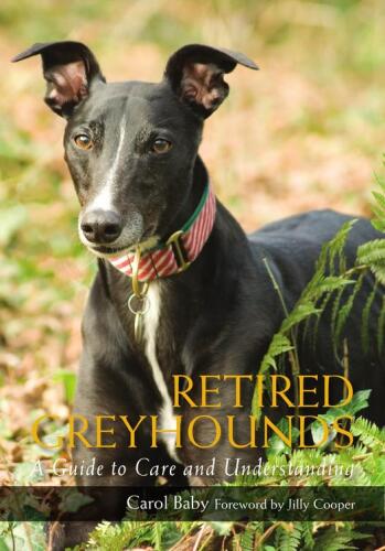 Retired Greyhounds: A Guide to Care and Understanding