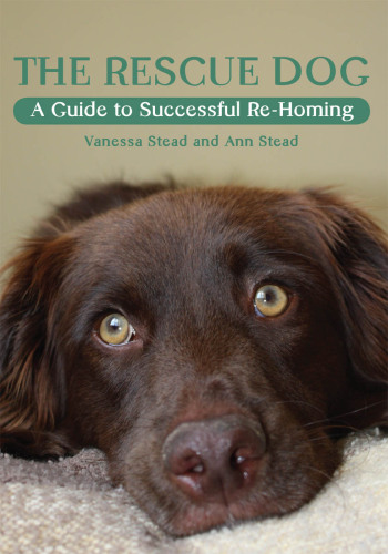 Rescue Dog: A Guide to Successful Re-homing