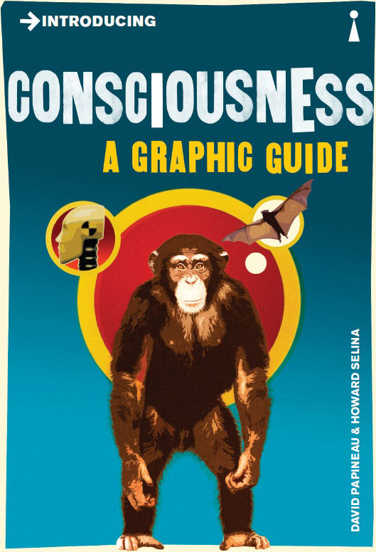 Introducing Consciousness: A Graphic Guide
