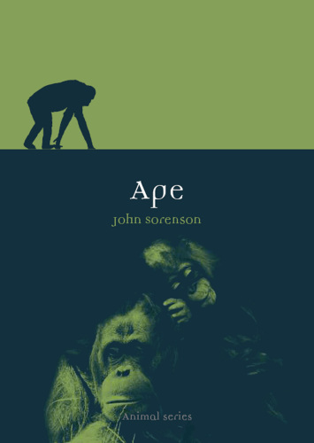 Ape