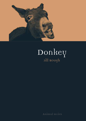 Donkey